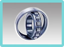 Cylindrical Roller Bearings