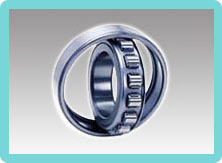 Single Row Cylindrical Roller Bearings