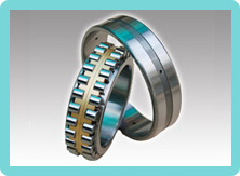 Double Row Cylindrical Roller Bearings