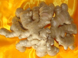 Air Dried Ginger, Fresh Ginger