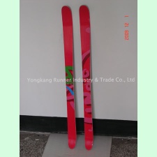 skis,ski board,snowboard(CH-S029)