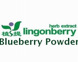 Blueberry Powder (fruit powder)