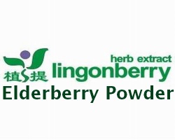 Elderberry Powder