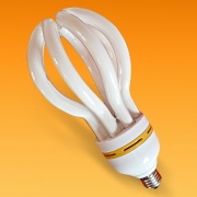 Energy Saving Lamp