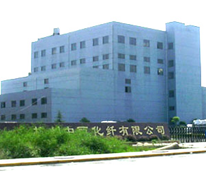 Hangzhou Zhongli Chemical Fiber Co., Ltd.