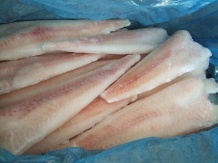 pollock fillet