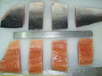 salmon fillet