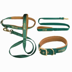 pet collar and leash