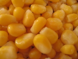 frozen sweet corn kernel