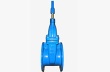 BS5163 British standard dark bar soft sealing gate valves