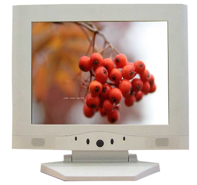 15" LCD Monitor