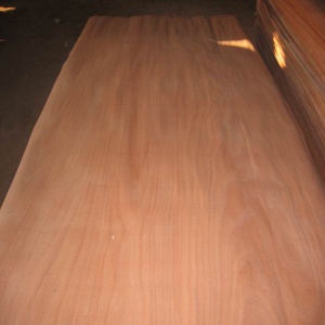 Rotary cut okoume veneer