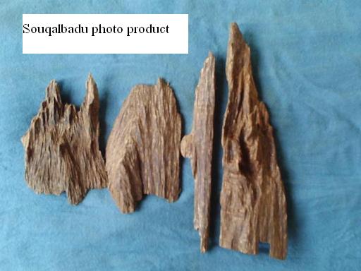 Agarwood