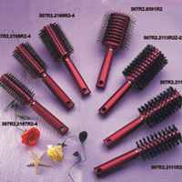 Professional Hair Brushes