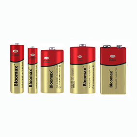 Alkaline battery