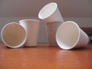 disposable paper pulp tableware