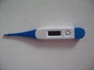 Digital Thermometer