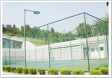 wire mesh fence