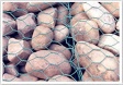 gabion mesh