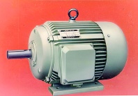 Y Series Three Phase AC TEFC Asynchronous Electric Motor