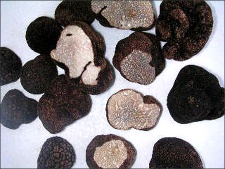 Tuber Indicum (Truffles)