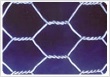 hexagonal wire netting