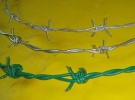 barbed wire