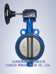 T609 Type Butterfly Valve