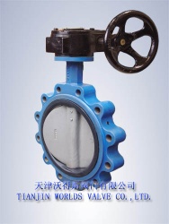 Lugged Type  Concentric Butterfly Valve