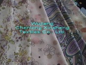 150D*150D Chiffon Printing fabric