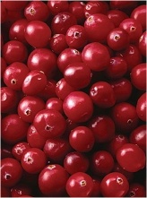 Cranberry P.E.