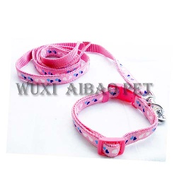 dog collar and leash