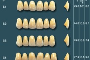 Economic synthtic Resin teeth