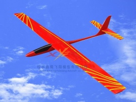 FREE BIRD RC plane