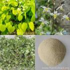 Epimedium Extract