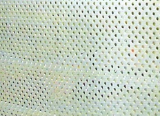 perforated wire mesh