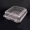 Disposable Plastic Food Container(Strawberry Box)