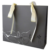 Luxury paper bag