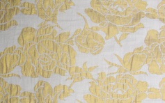 Jacquard fabriscs