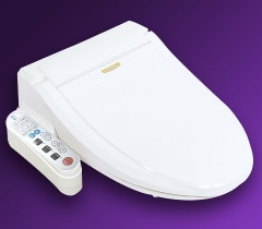 electric bidet YB-6200