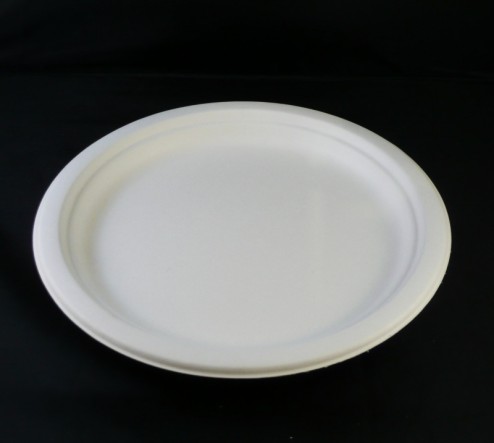 9 inch plate, bagasse fibre