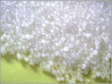 Caustic soda beads