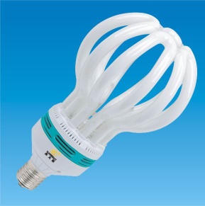 lotus energy saving lamp