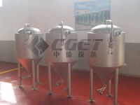 Conical Fermetner 100L