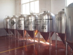 Conical Fermenter 500L