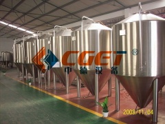 Conical Fermenter 2000L