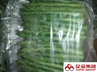 Frozen asparagus