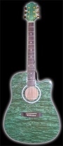 Acoustic Guitar