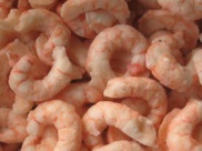 frozen shrimp meat,octopus,long-legged octopus,single red frozen shrimp,frozen anglerfish slices ,white frozen shrimp meat