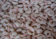 frozen shrimp meat